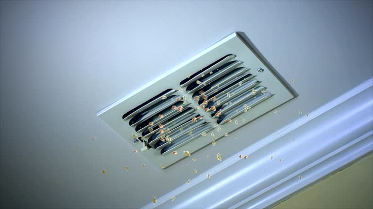 Best Air Duct Cleaning Company Near Me  in Oakland, IA